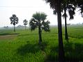DSC05040