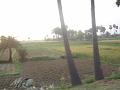 DSC05493
