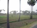 DSC05494